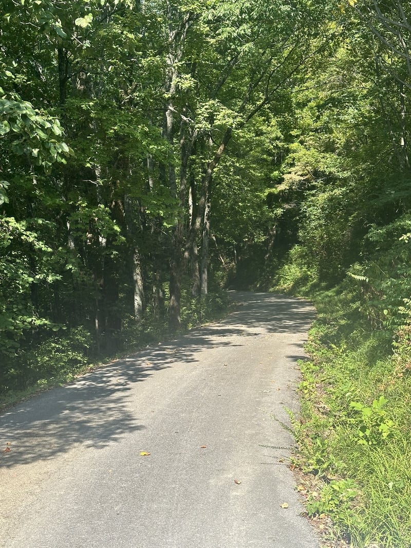 0 Douglas Loop, Gallatin, TN 37066