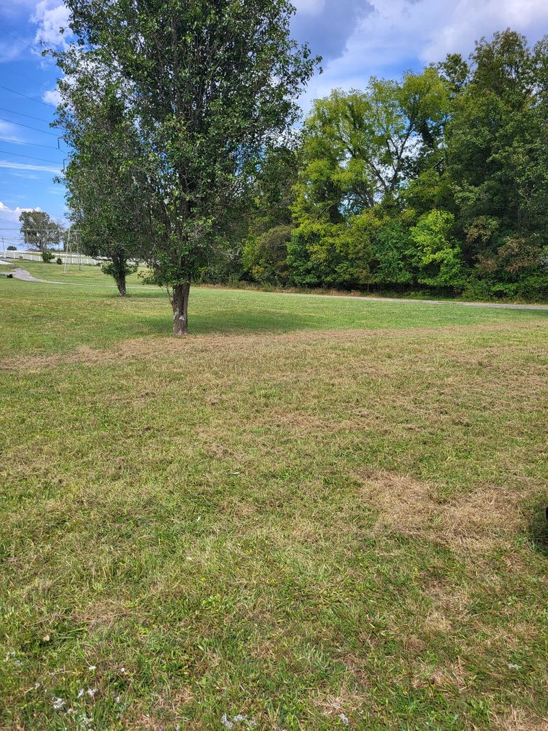 10454 Central Pike, Mount Juliet, TN 37122