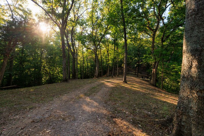 8336 Nunahi Trl, Nashville, TN 37221