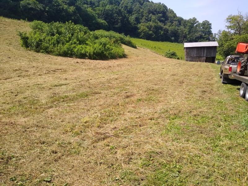 0 Happy Hollow Ln, Pleasant Shade, TN 37145