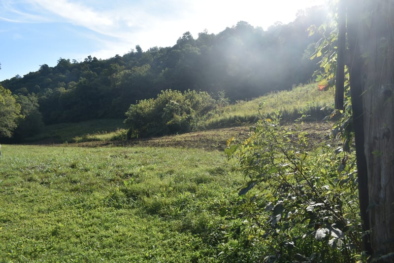 0 Happy Hollow Ln, Pleasant Shade, TN 37145