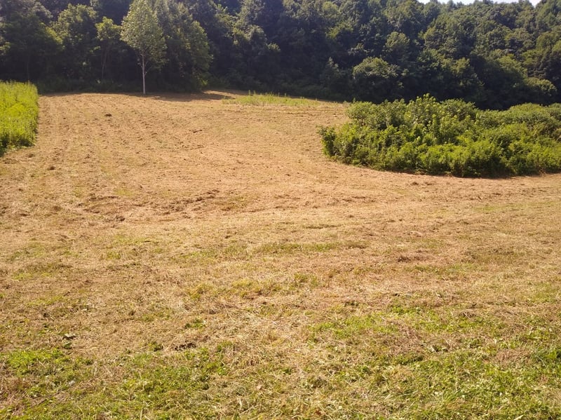 0 Happy Hollow Ln, Pleasant Shade, TN 37145