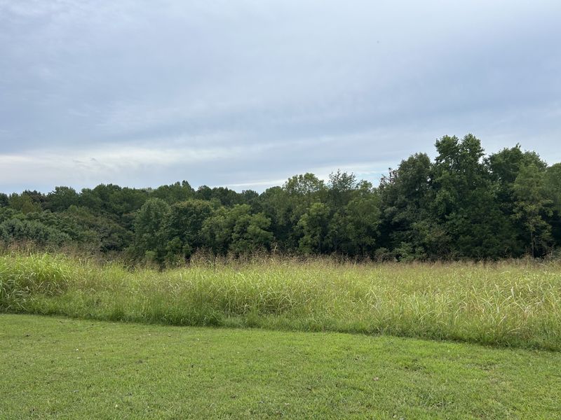 2884 Pleasant Grove Rd, Westmoreland, TN 37186