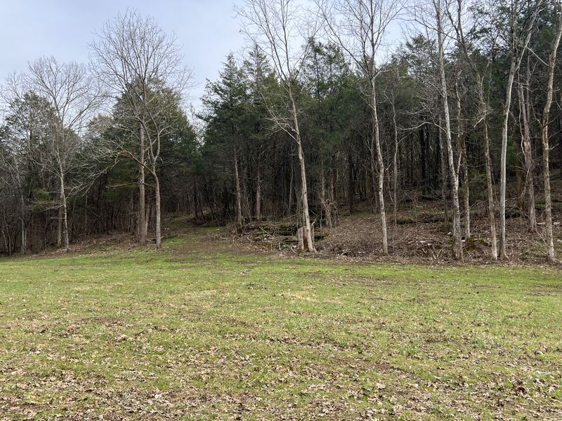 0 Stonewall Hw, Carthage, TN 37030