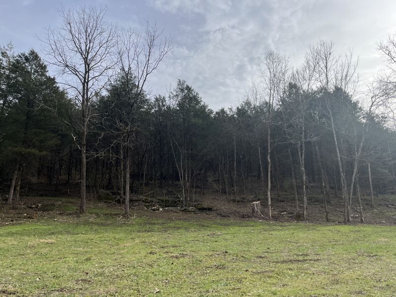 0 Stonewall Hw, Carthage, TN 37030