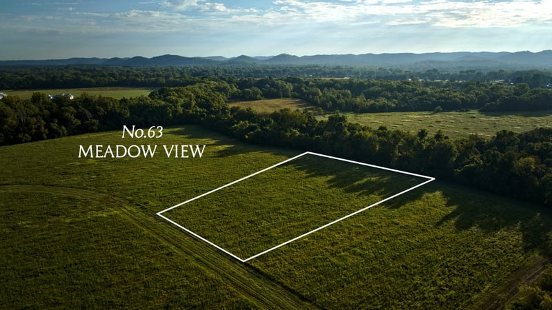 3021 Del Rio Pike Lot 63, Franklin, TN 37069