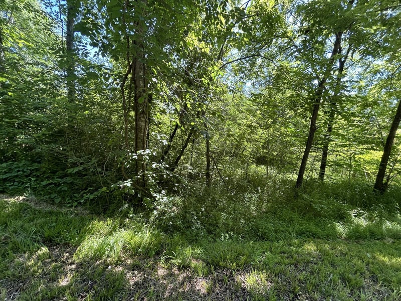 0 Dr Johnson Rd, Crandall, GA 30711