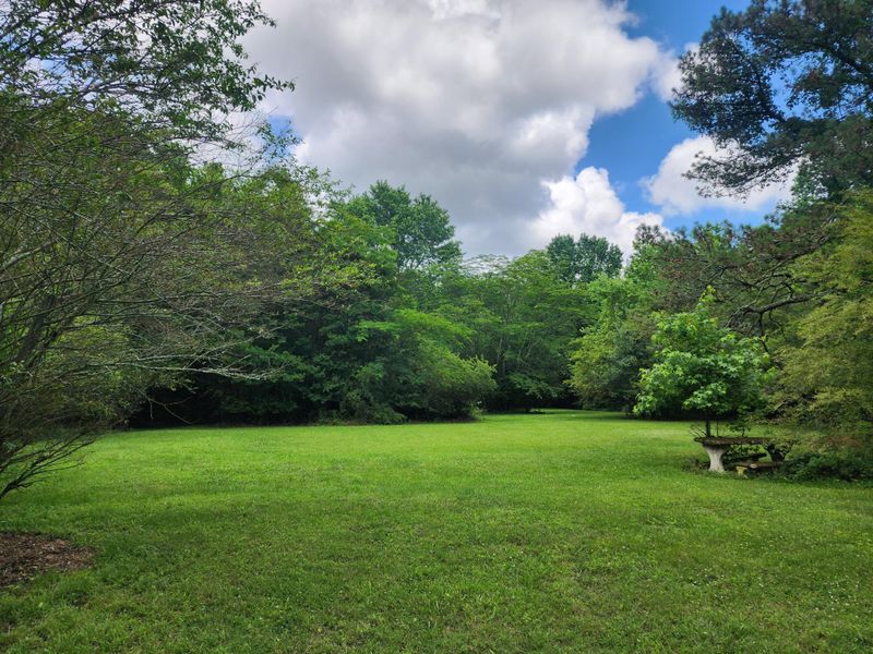 5 S Main St, Sylvania, AL 35988