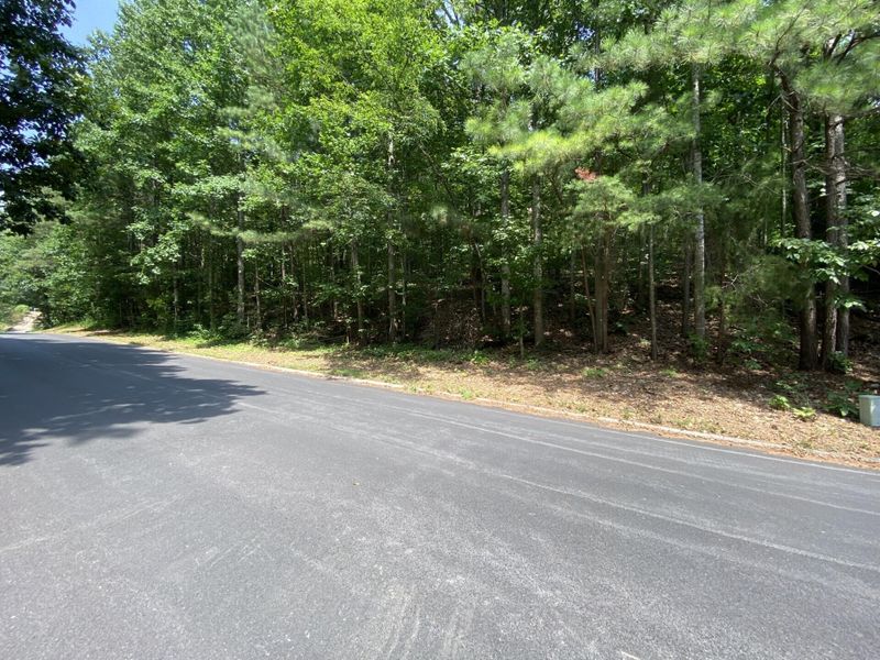 310 Golf View Dr, Cohutta, GA 30710