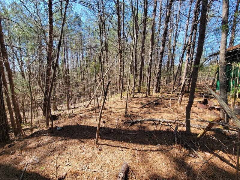 0 Henry Ross Rd, Crandall, GA 30711