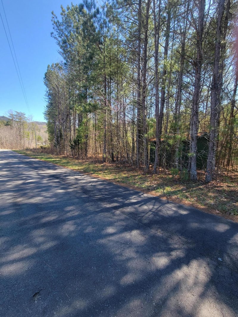 0 Henry Ross Rd, Crandall, GA 30711