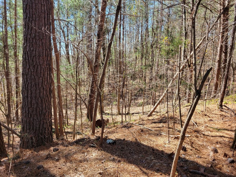 0 Henry Ross Rd, Crandall, GA 30711