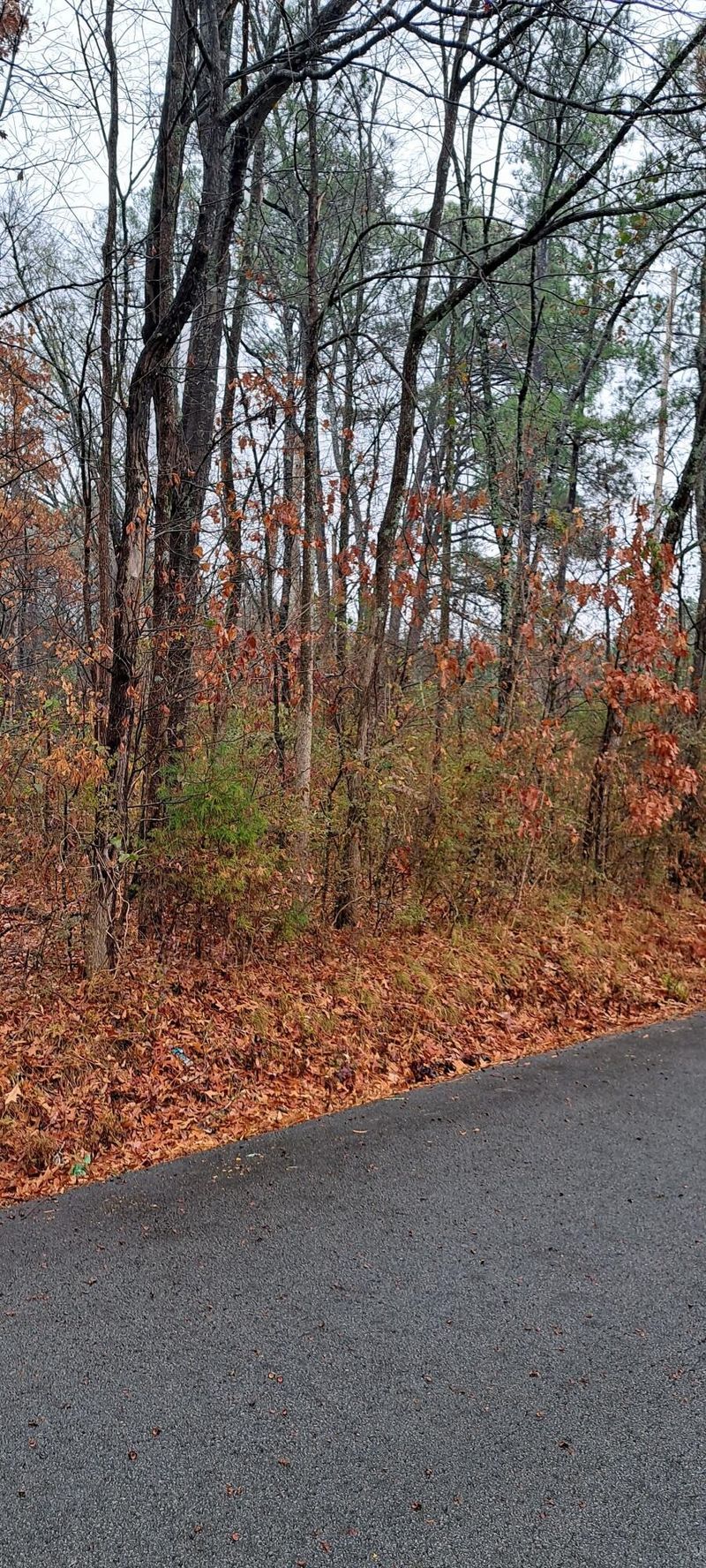 35 Karen Dr, Ringgold, GA 30736