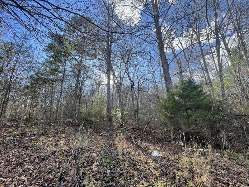 1559 Wolf Creek Rd, Mineral Bluff, GA 30559