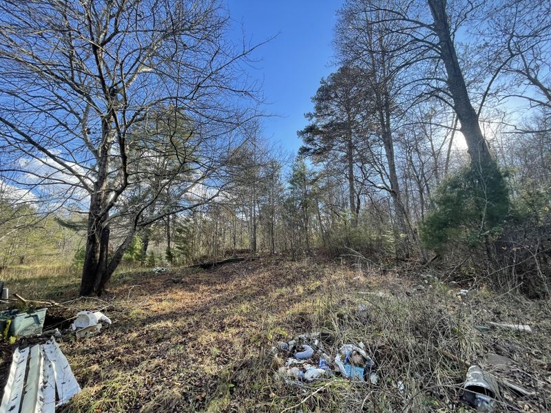 1559 Wolf Creek Rd, Mineral Bluff, GA 30559