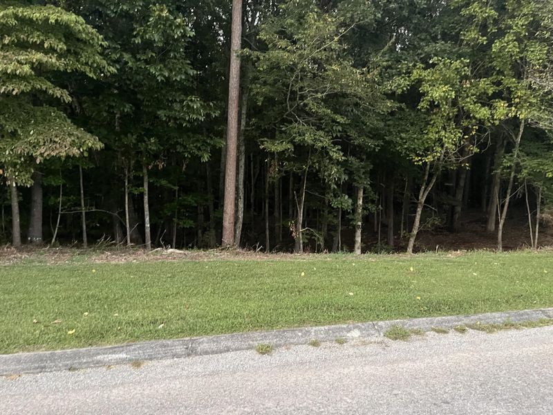 0 Jays Way Lot 37, Ringgold, GA 30736