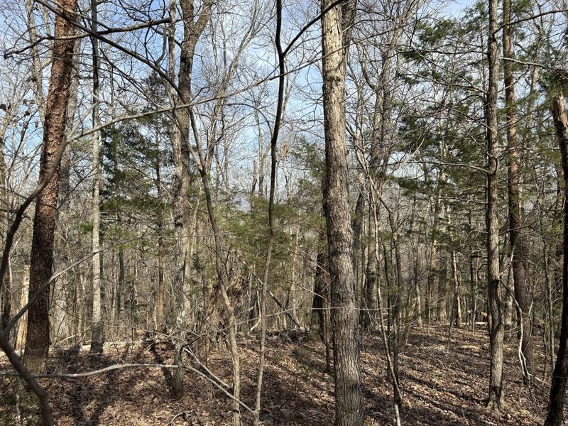 437 Durham Rd, Trenton, GA 30752