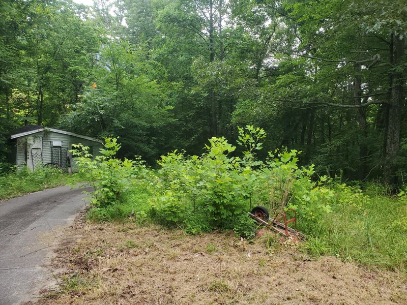 2865 Us 11, Rising Fawn, GA 30738