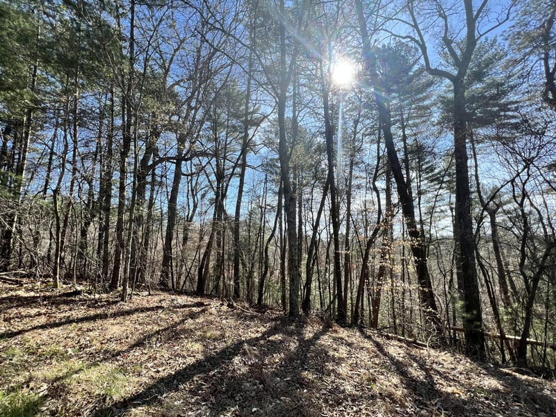 0 Indian Ln Lot 3731, Ellijay, GA 30540