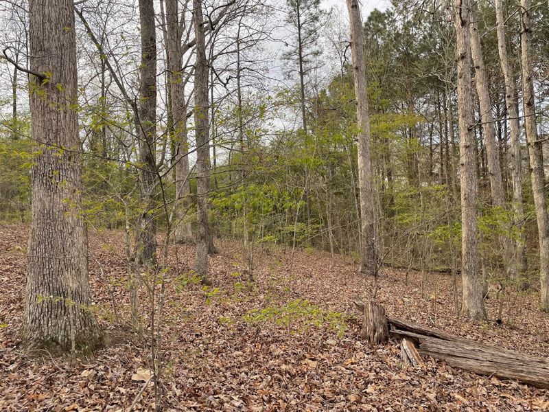 0 Johns Dr, Ringgold, GA 30736