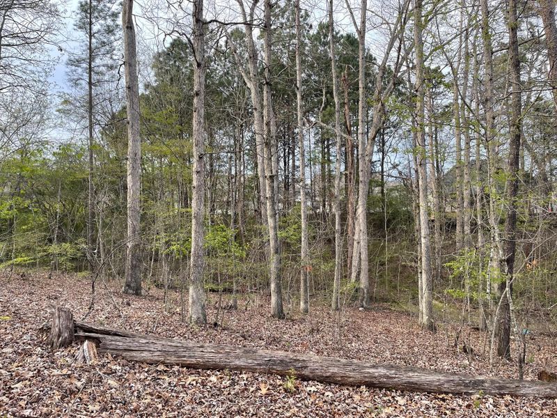 0 Johns Dr, Ringgold, GA 30736