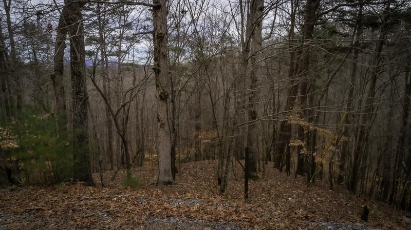 0 Alcan Way, Ellijay, GA 30540