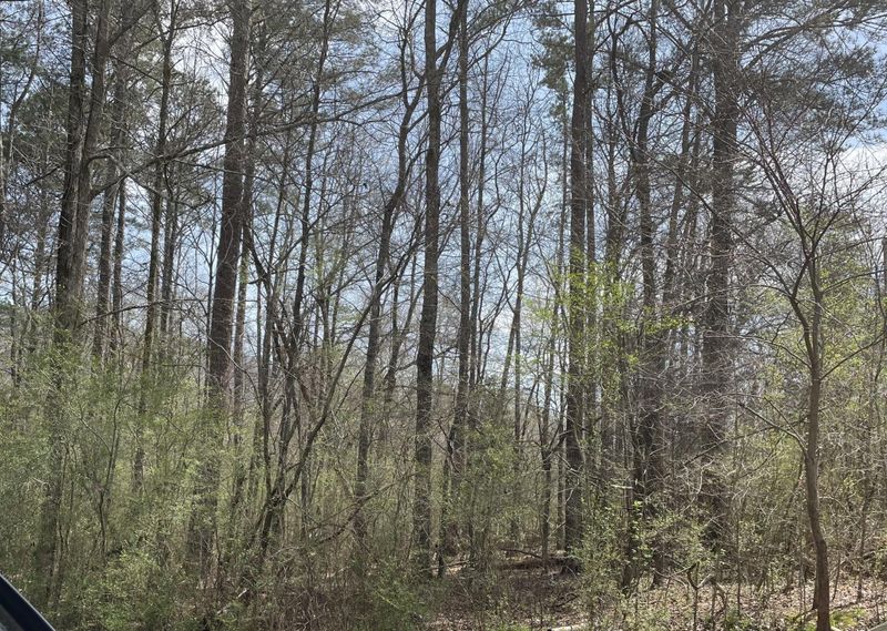 0 Rocky Dr Lot 20, Rocky Face, GA 30740