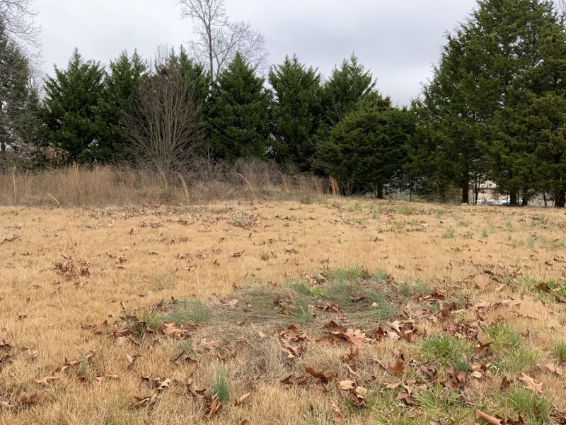 43 Homewood Dr, Ringgold, GA 30736