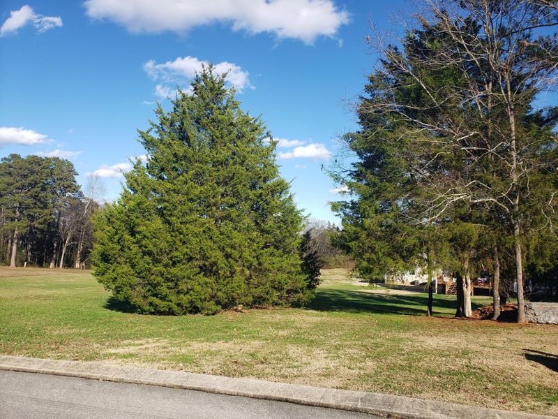 0 Hunting Ridge Cir Lot 18, Rock Spring, GA 30739