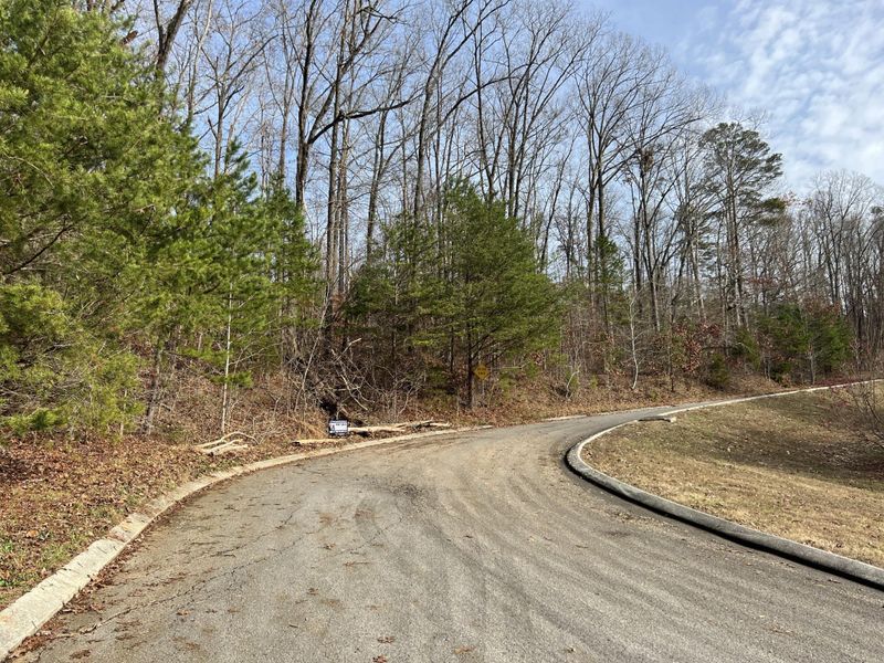 0 Cherokee Lake Dr Lot 36, Ringgold, GA 30736