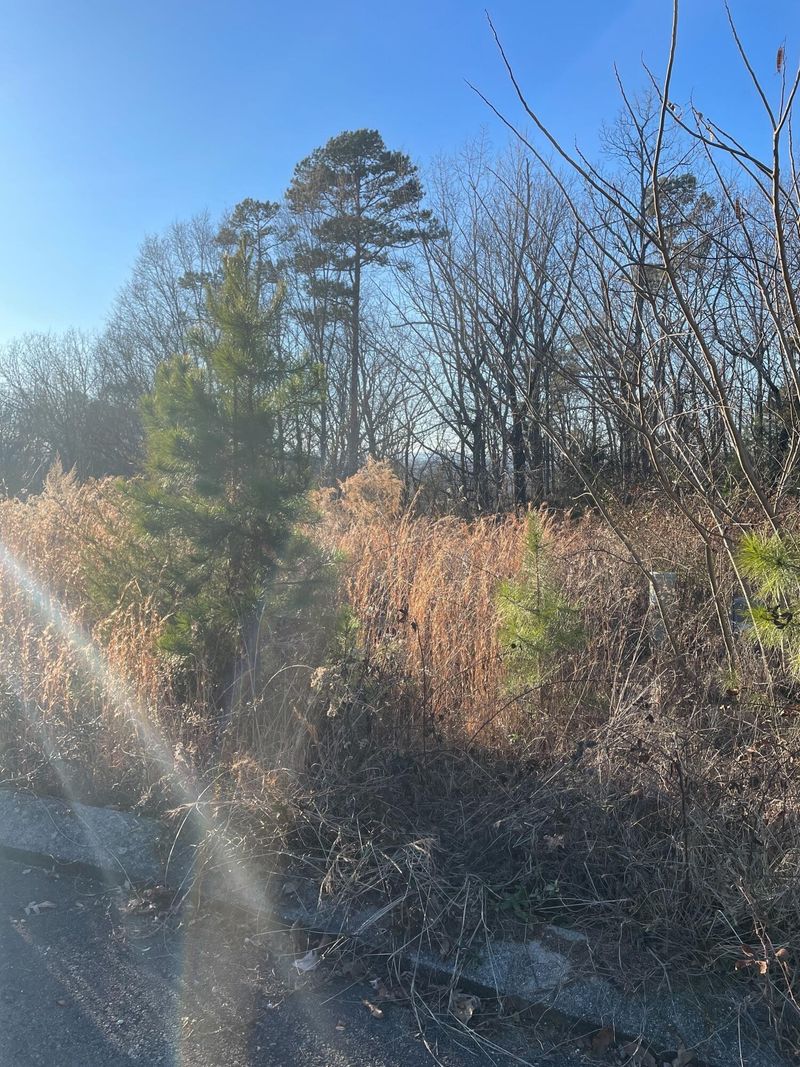 27 Cheshire Crossing Dr Lot 27, Rock Spring, GA 30739