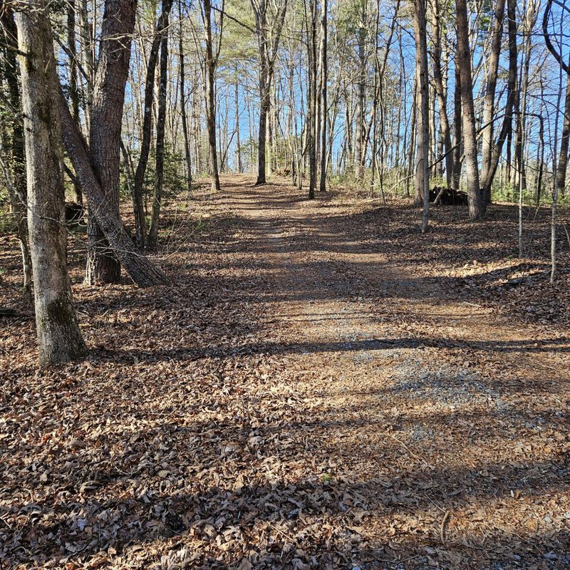 976 Dover Falls Trl, Ellijay, GA 30540