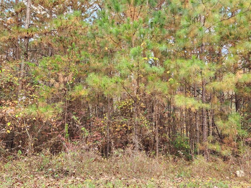 0 Mustang Dr, Summerville, GA 30747