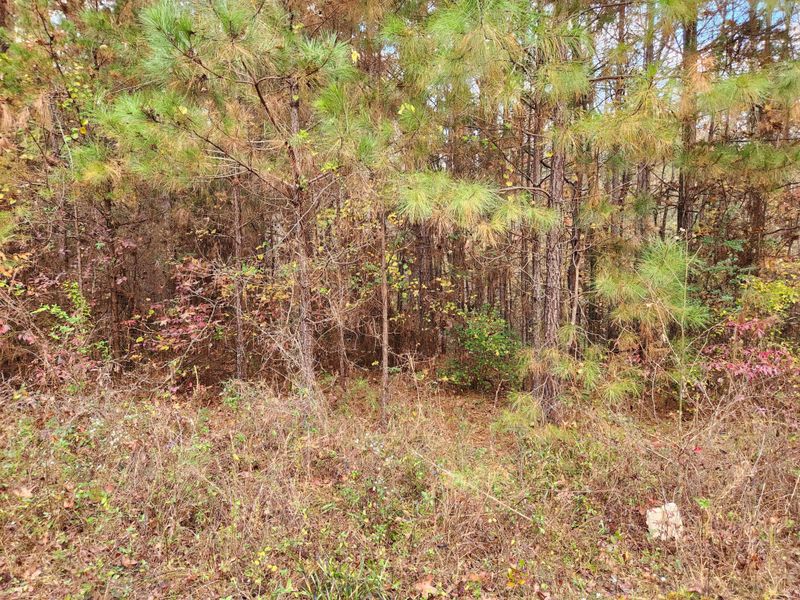 0 Mustang Dr, Summerville, GA 30747