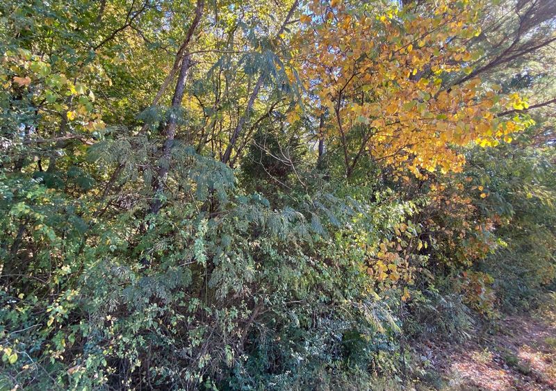 0 Scruggs Rd, Ringgold, GA 30736