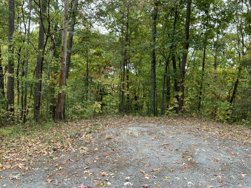 0 Nickajack Rd, Flintstone, GA 30725