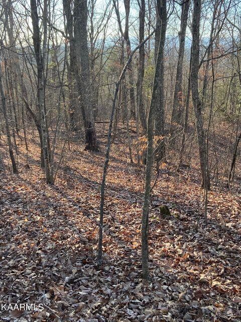 4 Tomotley Rd, Maryville, TN 37801