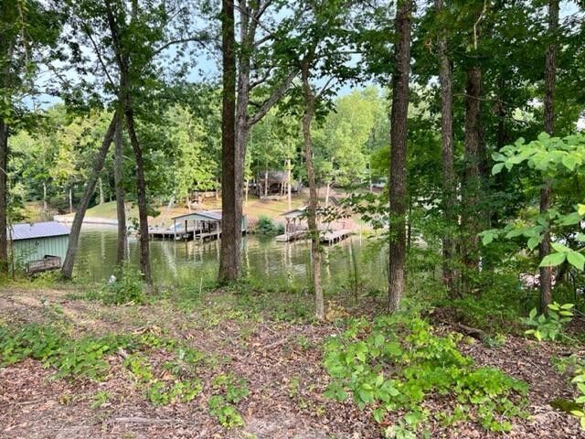 44 County Rd 513, Centre, AL 35960