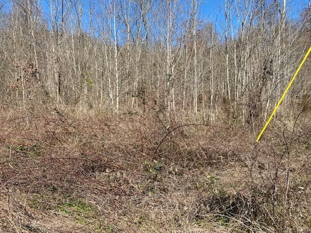 0 Ashton Ln, Trenton, GA 30752