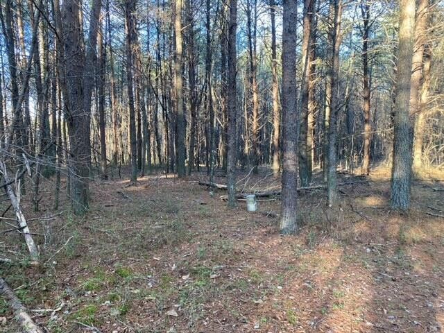 3 Nw Plantation Rd Lot 3, Adairsville, GA 30103