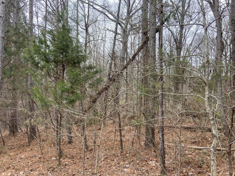 0 Rolling Hills Dr, Ringgold, GA 30736