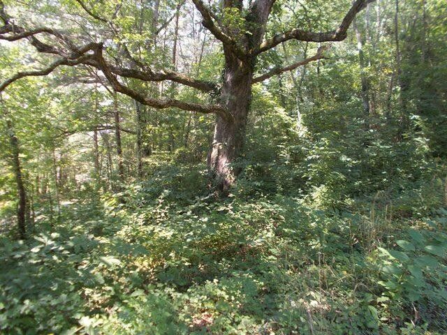 0 Chattanooga Valley Rd, Flintstone, GA 30725