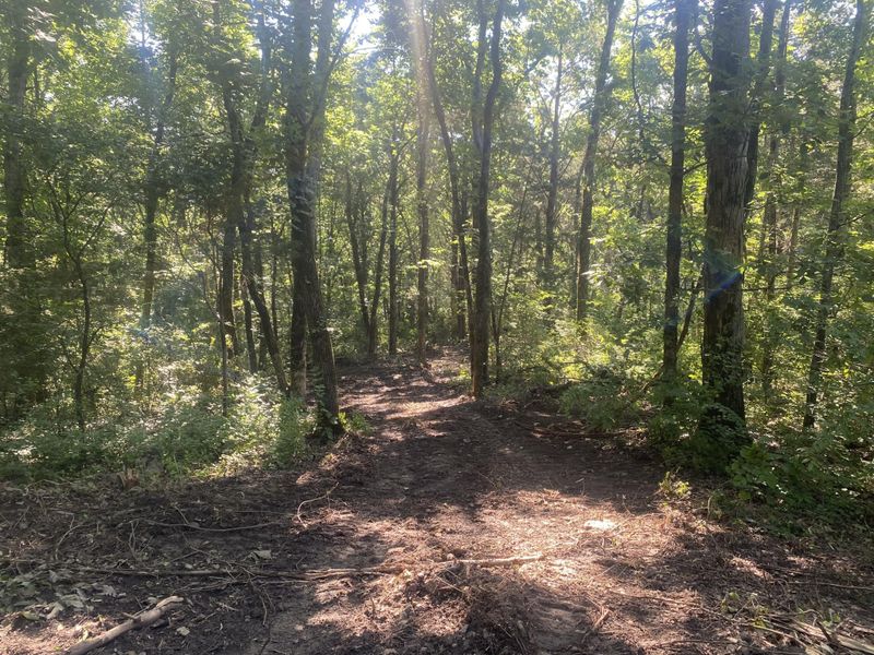 1650 Mckaig Rd, Trenton, GA 30752