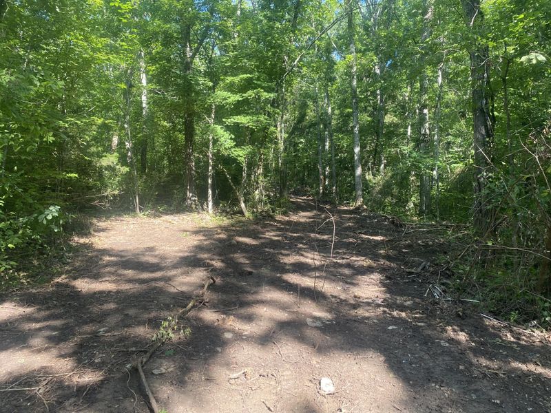 1650 Mckaig Rd, Trenton, GA 30752