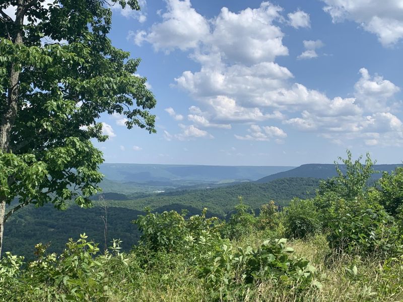 0 Stone Bluff Est Lot 11, Higdon, AL 35979