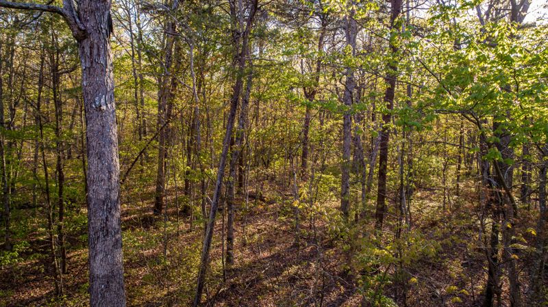 0 Highlands Dr Lot H12A12B, Cloudland, GA 30731
