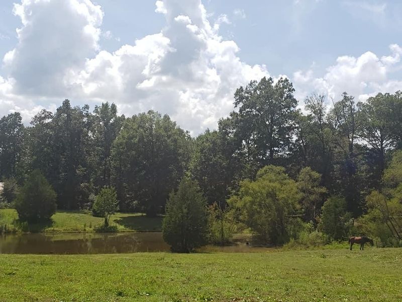 3250 Ball Ground Rd, Chatsworth, GA 30705