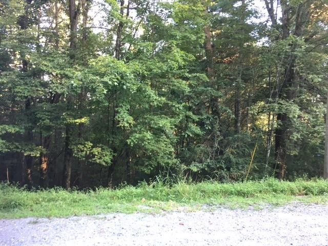 0 Hickory Ln, Ellijay, GA 30540