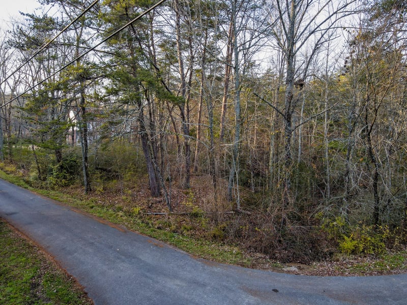 71 Mccallie Ln, Lookout Mountain, GA 30750