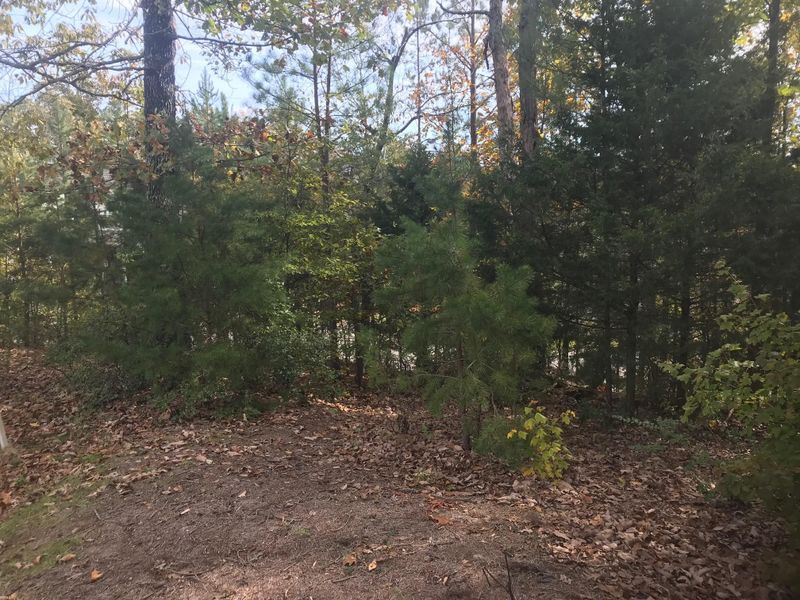 0 Blue Jay Pw Lot 413, Ringgold, GA 30736